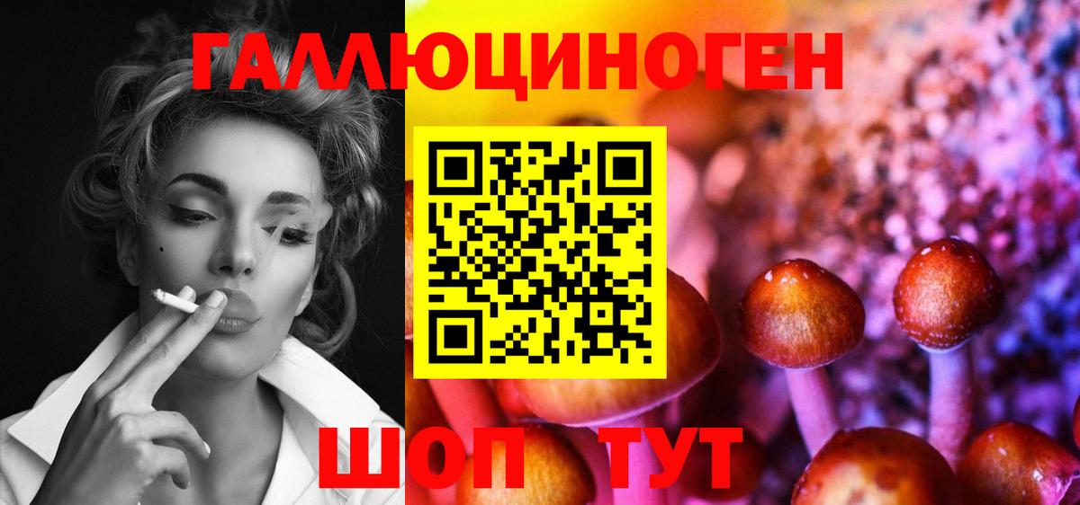Галлюциногенные грибы MAGIC MUSHROOMS  закладка  Стрежевой  Вход с VPN 